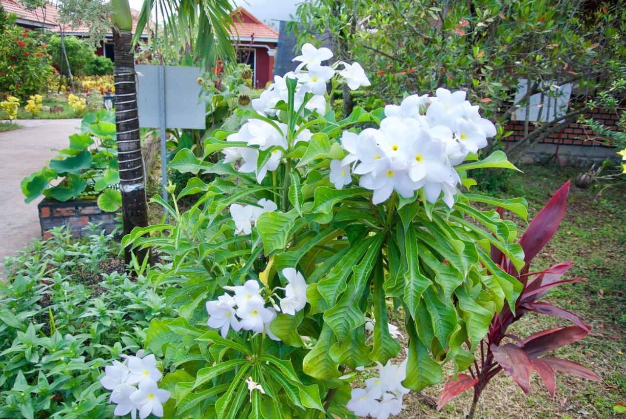 Phoumrumduol Bungalow كامبوت المظهر الخارجي الصورة